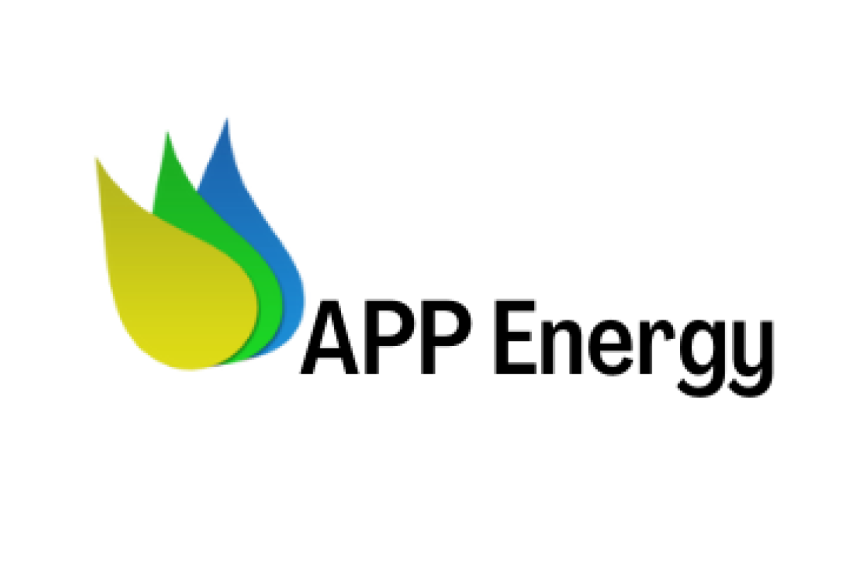 APP Energy - najlepsze firmy fotowoltaiczne